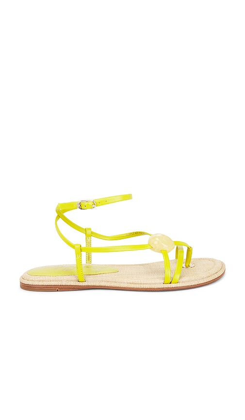 Sam Edelman Rillie Sandal | Thumbnail 3 Sam Edelman Rillie Sandal | Thumbnail 3