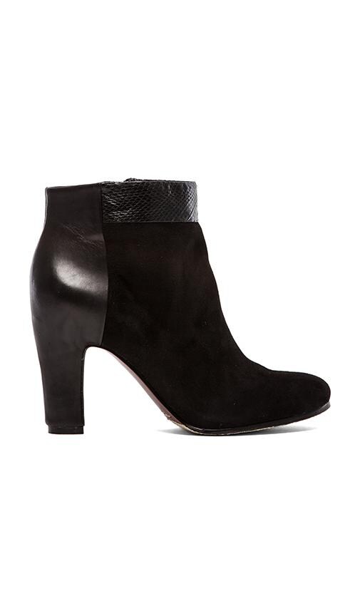 Shay Bootie
