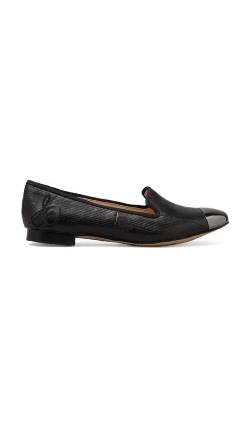 Aster Flat