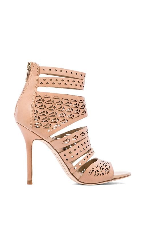 Alysia Heel