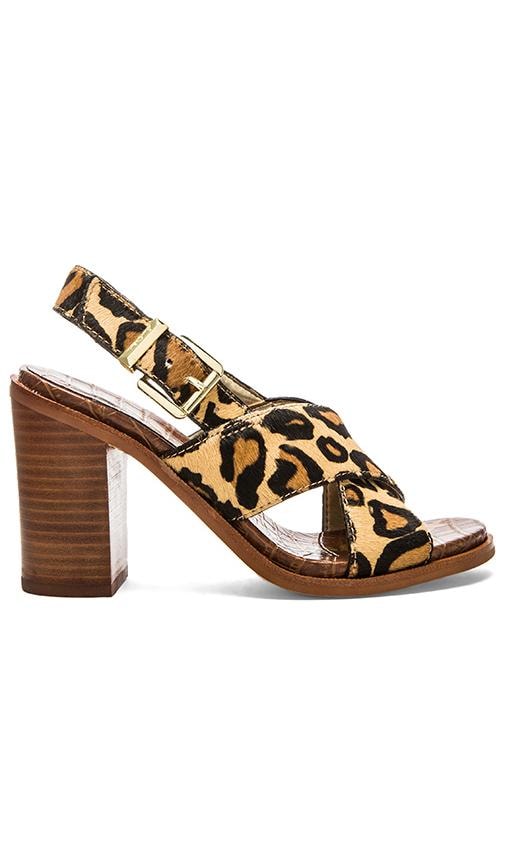Sam Edelman Ivy Sandal in New Nude Leopard