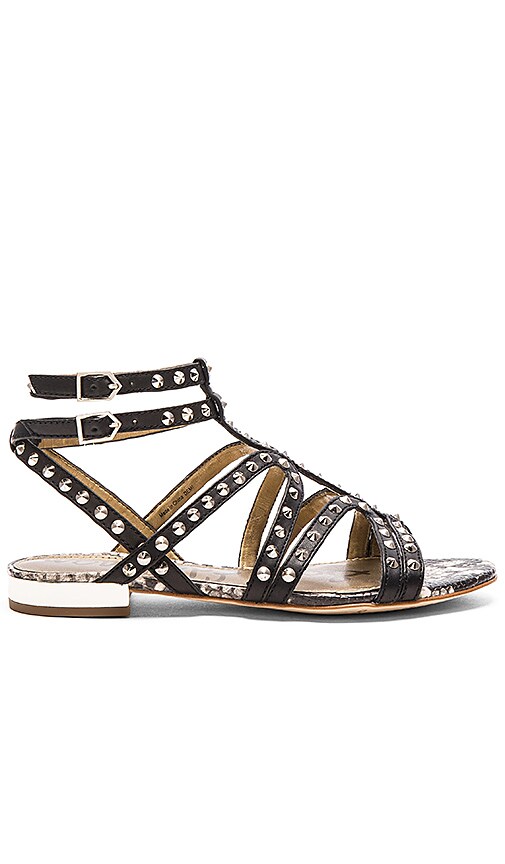 Sam edelman black studded on sale sandals