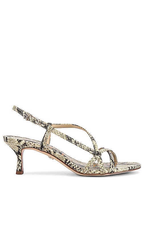 Sam Edelman Judy Sandal in Beach Multi Snake REVOLVE