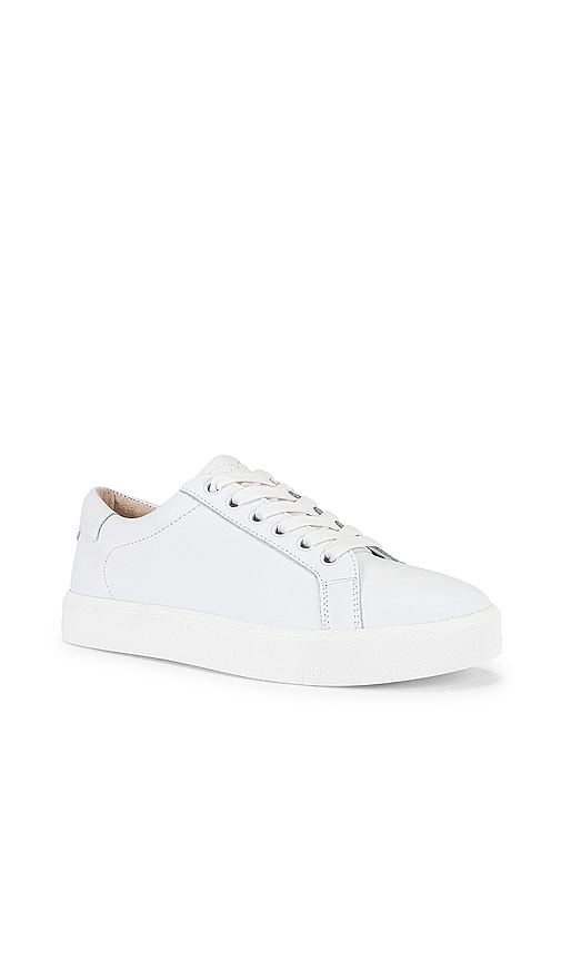 Women's Designer Sneakers | Hi-Tops, Low-Tops, Slip-Ons