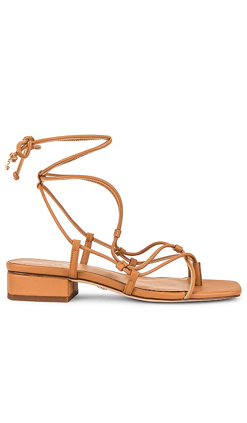 Sam Edelman Daffy Sandal in Light Cuoio Brown