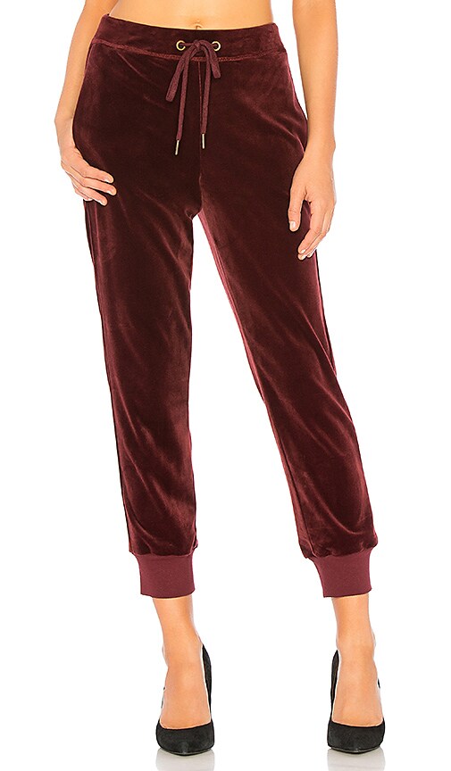 sanctuary velour joggers