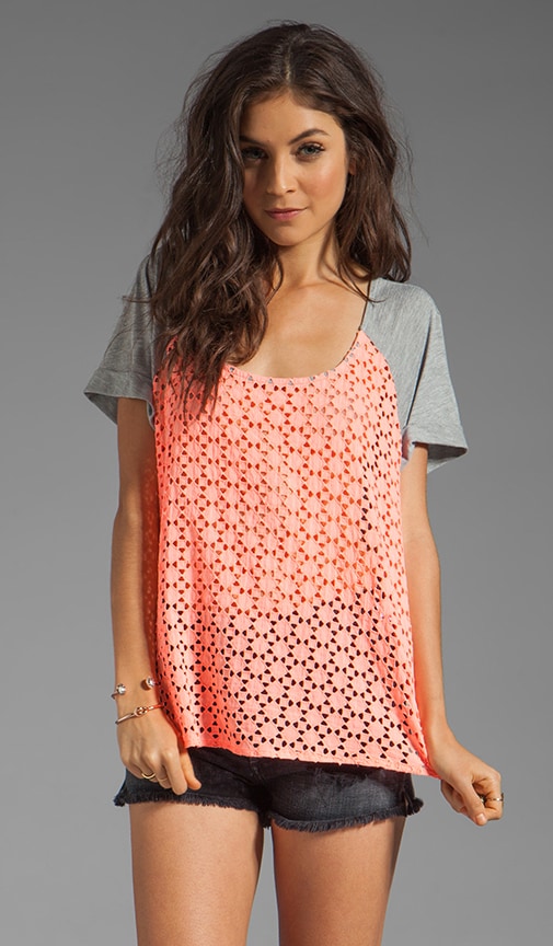 Nash Top