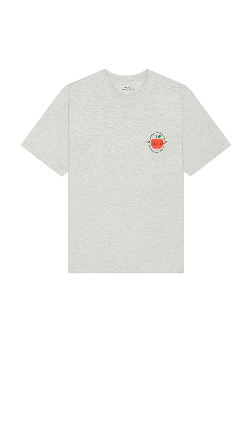 Shop Saturdays Surf Nyc The Big Apple Standard Short Sleeve Tee In Ash Heather