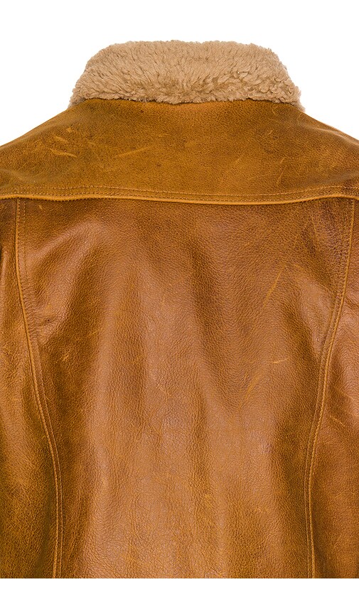 Schott Waxy Vintage Buffalo Trucker In Sycamore