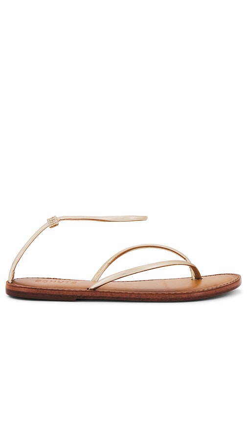 SCHUTZ LOTTIE SANDAL 