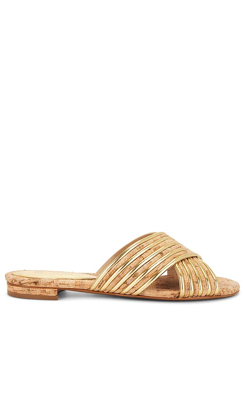 Shop Schutz Latifah Flat Sandal In Ouro Claro & Natural