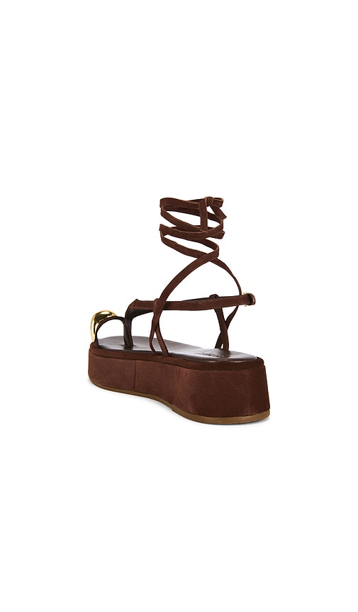  Schutz Sandale Zadie Platform In Brown. Größe 7.5. Also In 8, 9.5. 