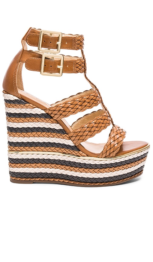 Kaelyn Wedge