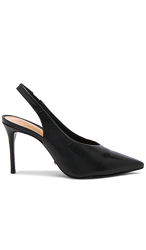 Phisalis Heel