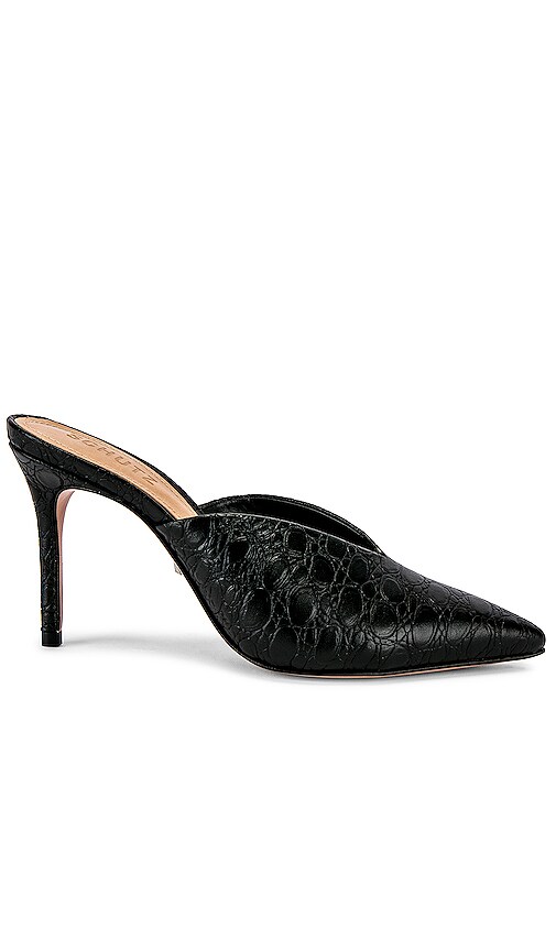 Charla Mule