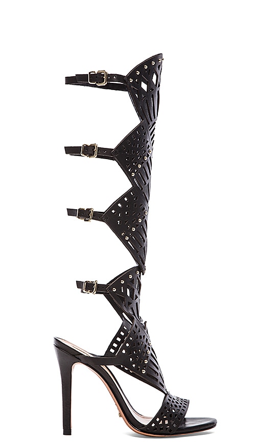 Brasiliana Heel