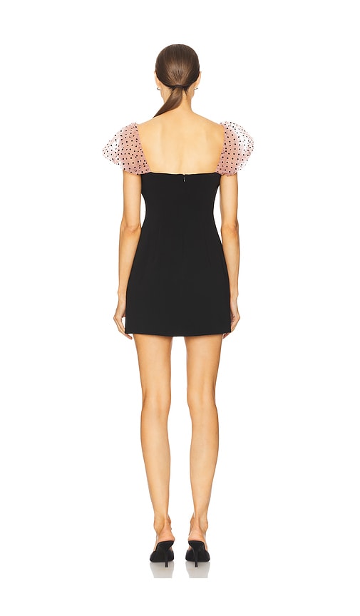  Stone Cold Fox Kleid Nova In Black. Größe Xs. Also In S, M. 