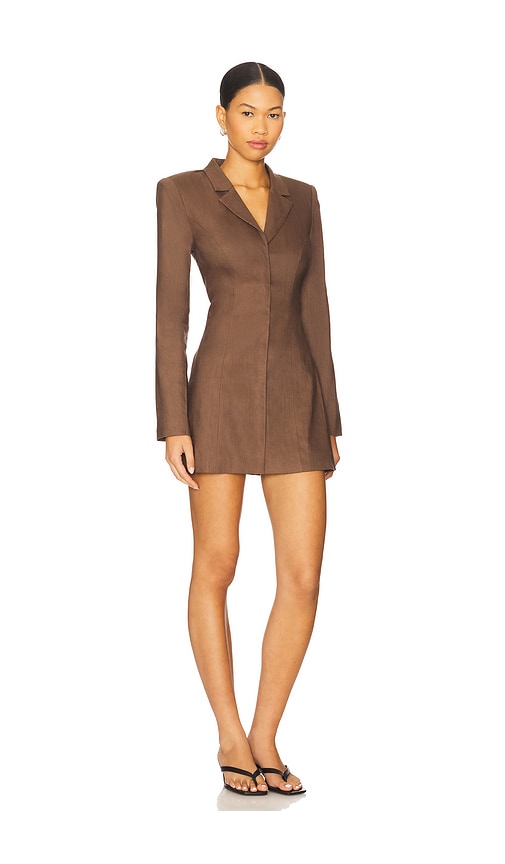 Stone Cold Fox X Revolve Bailey Mini Dress In Brown