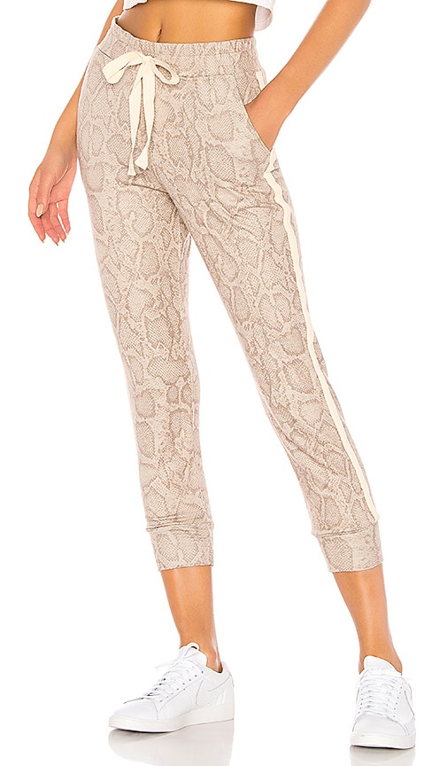 snake print jogger