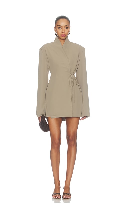 Dakari Mini Dress