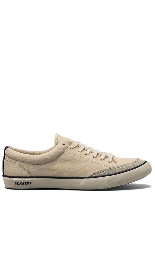 Tennis Shoe