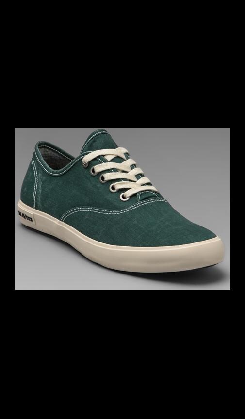 Circular Vamp Oxford