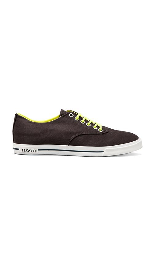Hermosa Beach Plimsol