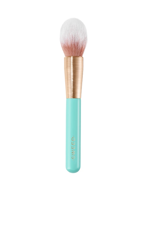 Powder Brush in Beauty: NA.