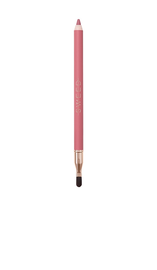 Lip Liner in Dream Bigger.