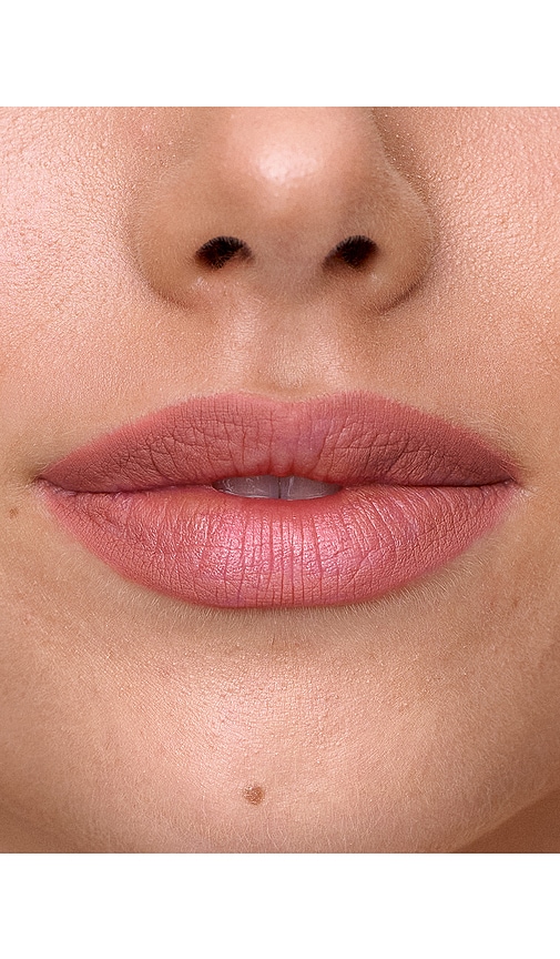  Sweed Lip Liner In Pink. 