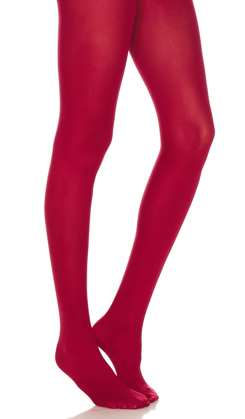 Stems Avery Microfiber Tights in Burgundy