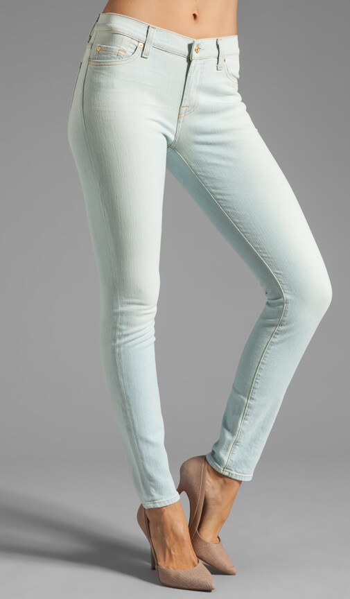 The Skinny