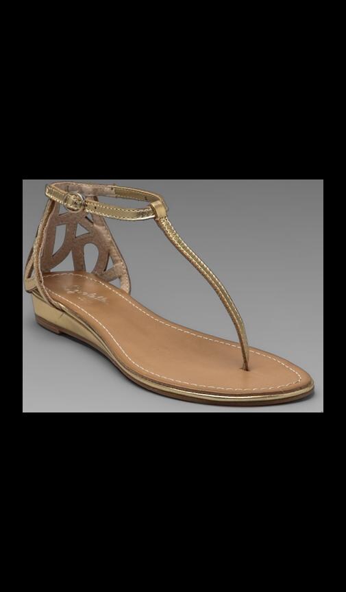 Fearless Sandal