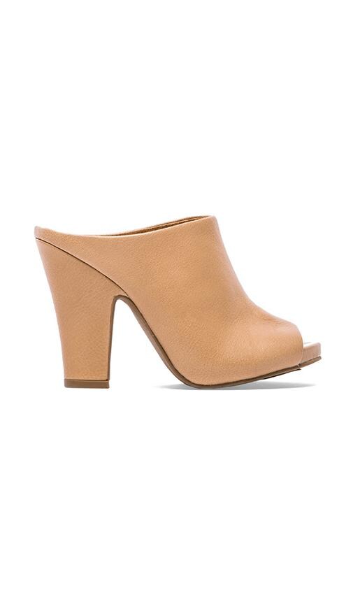 Propaganda Heel