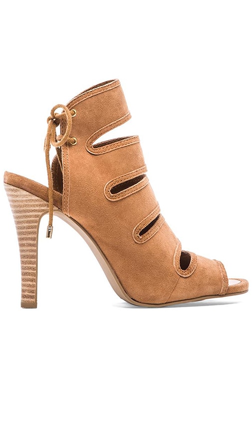 Play Along Heel