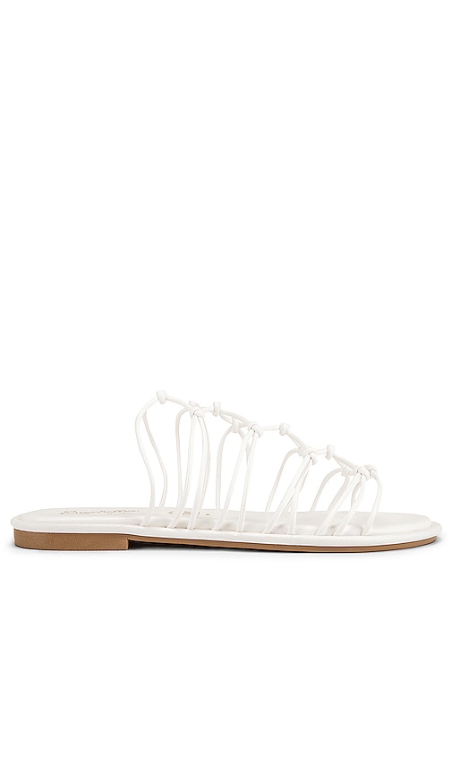 Seychelles Authentic Sandal in White | REVOLVE