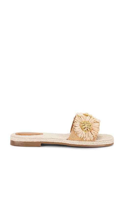 Botanical Gardens Sandal in Tan. - size 10 (also in 11, 6, 6.5, 7, 7.5, 8, 8.5, 9, 9.5) - Seychelles - Modalova