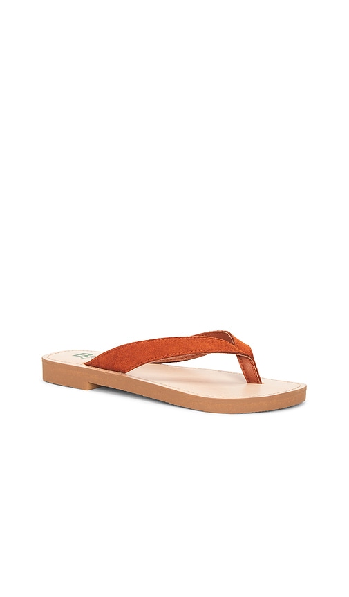  Seychelles Sandalia Deliah En Color óxido Talla 10  (también En 11, 6, 6.5, 7, 7.5, 8, 8.5, 9, 9.5). 