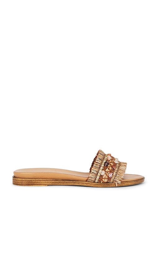 Seychelles Paradise Sandal | Thumbnail 3 Seychelles Paradise Sandal | Thumbnail 3