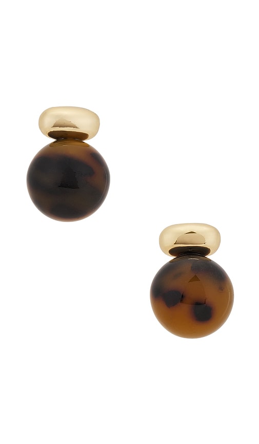 Shop Shashi Alice Tortoise Earring In Brown