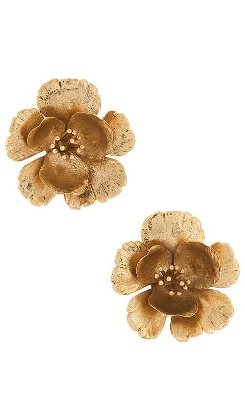 Fluttered Flower