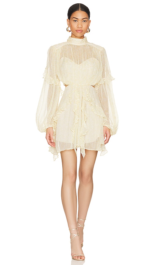 Shona joy salinger hot sale ruffle mini dress