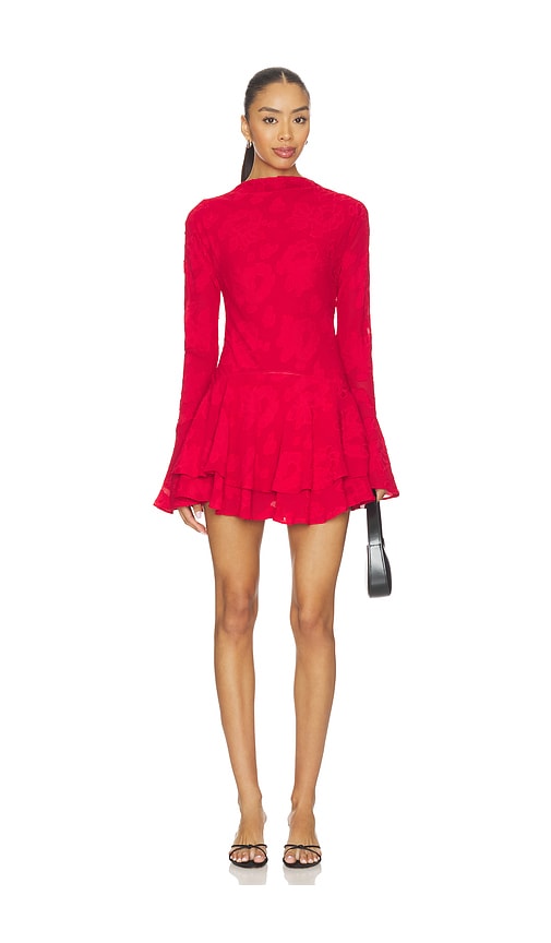 Bowery Long Sleeve Ruffle Mini Dress