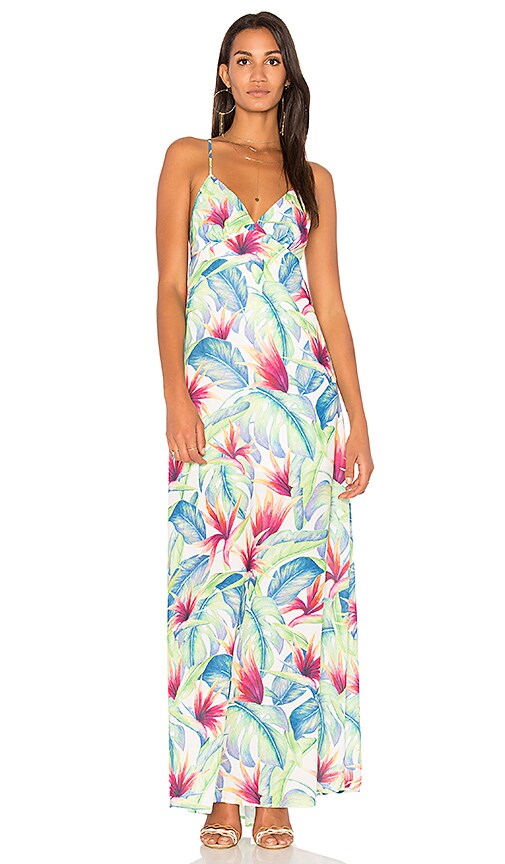 Amal Maxi