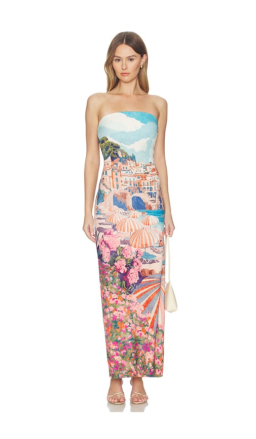 Taylor Tube Dress