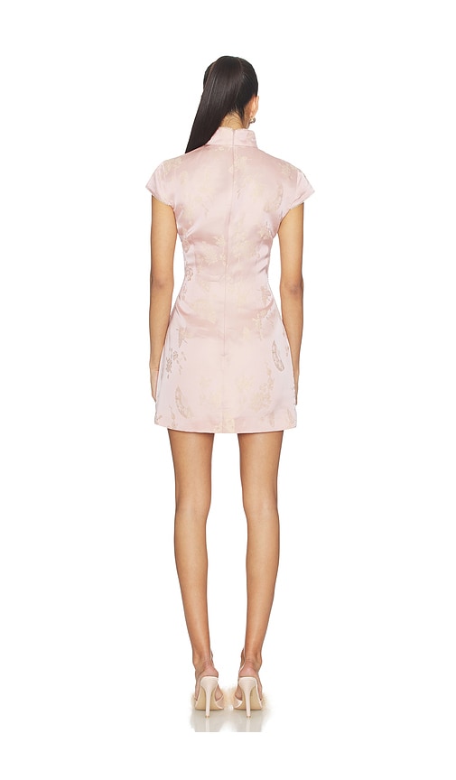  Sau Lee Kleid Cara In Blush. Größe 0. Also In 10, 12, 2, 8. 