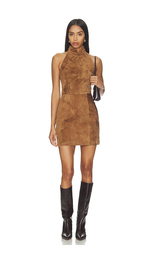 Tilda Suede Dress by SAU LEE in Brown