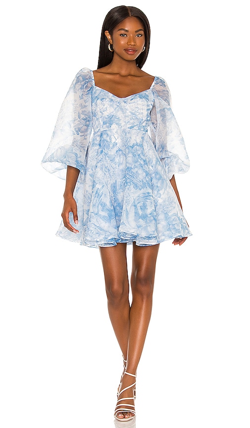 Selkie The Princess Dress in Baby Blue Toile | REVOLVE