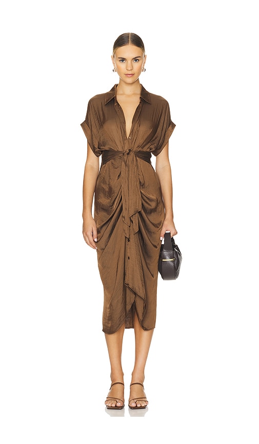 Shop Steve Madden Tori Dress In Cocoa