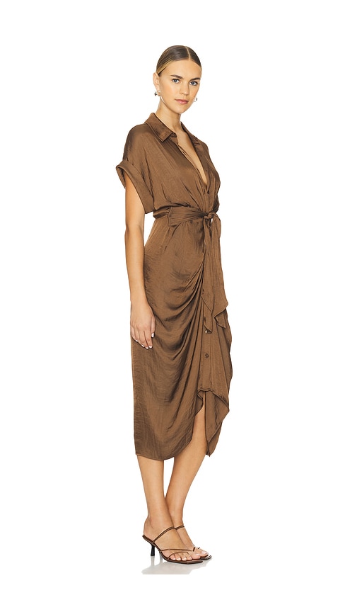 Shop Steve Madden Tori Dress In Cocoa